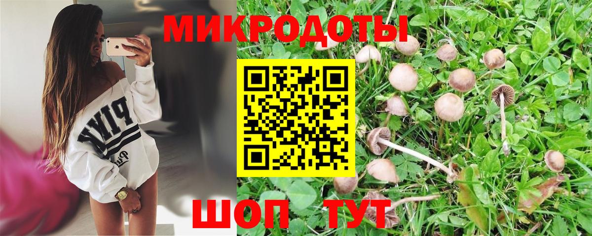Галлюциногенные грибы MAGIC MUSHROOMS  хочу   Галлюциногенные грибы Psilocybe  Ступино  Вход с VPN 